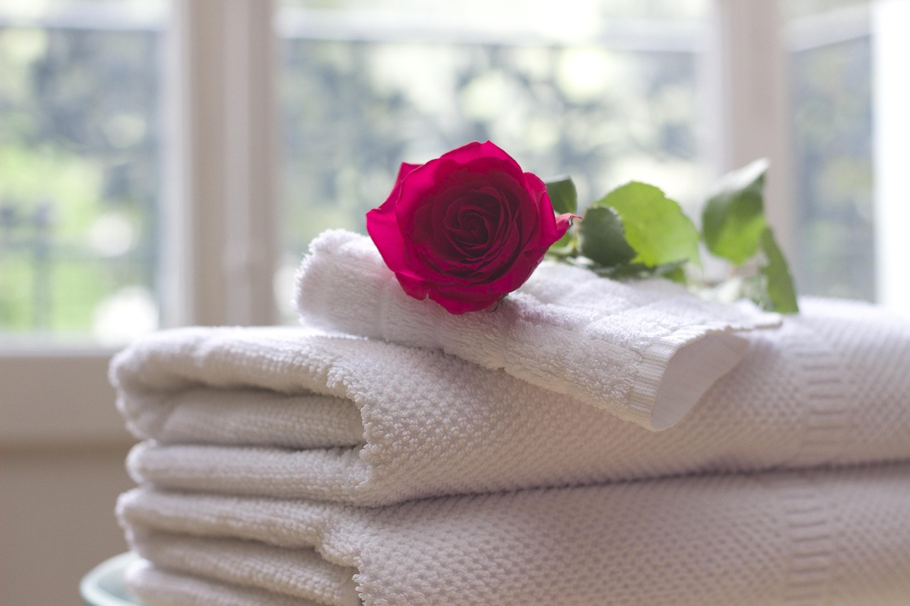 towel, rose, clean, care, salon, spa, white, rose flower, bath, relax, hospitality, hotel